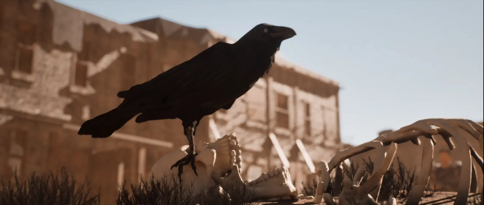 Image Project-based delivery